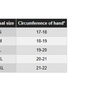 Bering Lady Auria Evo <b>Gloves</b> for Riding - Product Image 3