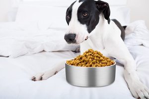 Cuenco de agua de alimentación elevado grande de lujo personalizado al por mayor, cuenco de metal de estilo único para perros y gatos, patrón de animales pequeños - Product Image 5