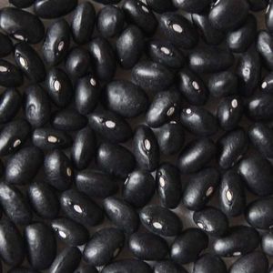 Gros haricots noirs mouchetés/Haricots noirs secs - Product Image 2