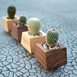 VIPE POTA DE FLORES DE MADERA MEJOR CALIDAD JARDÍN HOGAR PISO DE PIE Maceta de madera Bonsai Maceta de madera para gran oferta - Product Image 4