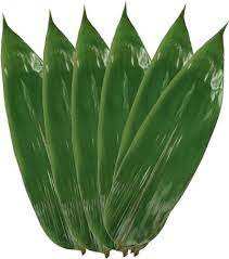 FEUILLES DE BAMBOU SÉCHÉES DE QUALITÉ SUPÉRIEURE/RECETTE FAMILIALE/VALEUR ABORDABLE/FABRIQUÉ AU VIETNAM - Product Image 5