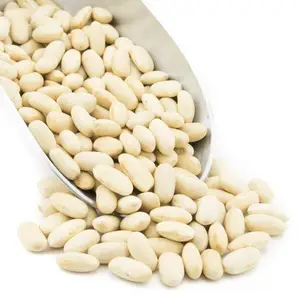 Kacang merah putih ukuran besar 2024 grosir kacang merah putih crop baru