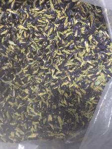 Fleur de pois papillon séchée de qualité supérieure du Vietnam-Infusion bleu profond, exportation en vrac, soigneusement emballée pour une fraîcheur maximale - Product Image 3