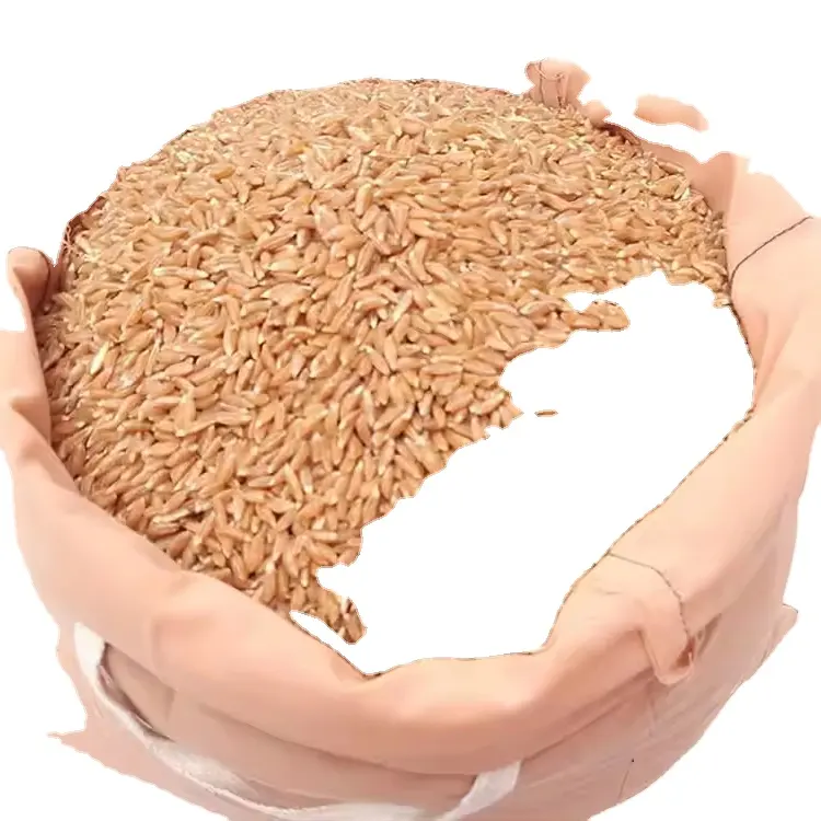 Grain de blé en gros, blé tendre, blé de mouture, blé dur