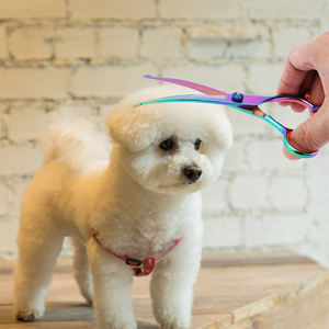 กรรไกรตัดแต่งขนสัตว์เลี้ยงสแตนเลสสกรูสีไทเทเนียม - Product Image 2