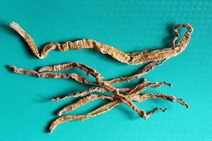 Polvo de lombriz de tierra seca de la mejor calidad 2024 de Vietnam Artículo más vendido de alto contenido proteico con precio competitivo - Product Image 6