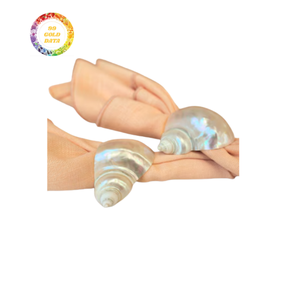 Elegantes servilleteros de concha marina para bodas y eventos con artesanía duradera y precio económico - Product Image 6