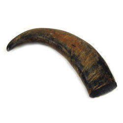 Cuerno de Búfalo 100% Natural, Puntas Redondas de Cuerno, Tamaño Personalizable, Color Natural, Moderno, Ecológico, Hecho a Mano, Alta Calidad - Product Image 3