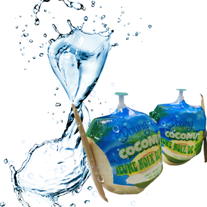 Noix de coco fraîche vietnamienne-Pure, rafraîchissement naturel - Product Image 4