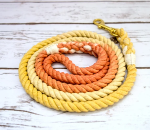 Laisse Ombre pour Chien-Orange Lime - Product Image 1