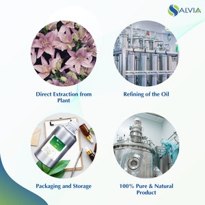 Aceite de lirio puro y natural 100%, venta al por mayor, precio bajo a granel con embalaje personalizado, aceite esencial puro - Product Image 4