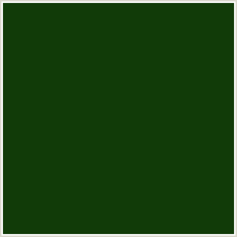 Vert Foncé