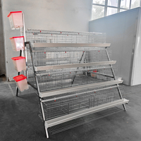 Cage à poulets de type 4 à 120/128/160 niveaux, directement de l'usine, système de cages en batterie galvanisées pour ferme avicole commerciale