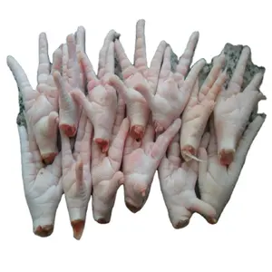 Bulk Frozen Chicken Feet/Bio Hühner füße und Pfoten zum Verkauf in loser Schüttung in Deutschland/IQF Frozen