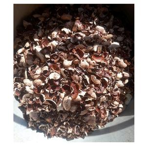 Coquilles de noix de cajou crues de haute qualité pour l'exportation et la vente en gros - Product Image 5