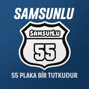 สติ๊กเกอร์ติดรถยนต์ลายป้ายทะเบียนรถซัมซุง 55 รุ่นโฮมทาวน์ - Product Image 2