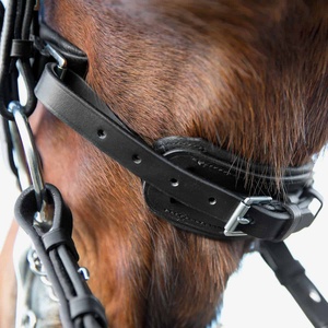 Bride mexicaine de cheval avec tête rembourrée fendue et coutures fantaisie - Product Image 5
