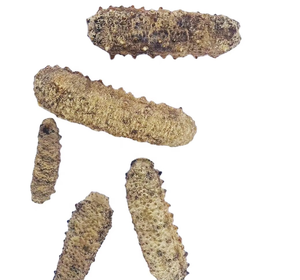 <span class=keywords><strong>Sri</strong></span> <span class=keywords><strong>Lanka</strong></span> Tự Nhiên Mặt Trời Khô Dưa Chuột Biển 100Kg Số Lượng Lớn Gói Chất Lượng Cao Cấp Màu Trắng Và Màu Đen Teat Giống Hoang Dã-Bắt - Product Image 6