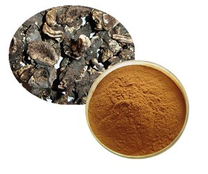 Extrait Pur de Racine de Cohosh Noire en Poudre – Soutien Herbal pour les Symptômes de la Ménopause, Équilibre Hormonal, Stabilité de l'Humeur, Soutien Immunitaire, Cheveux - Product Image 1