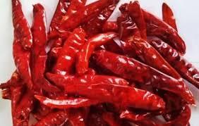 Piment rouge séché Teja S17 de la meilleure qualité sans tige disponible à la vente - Product Image 6