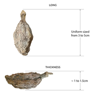 Épices entières de cardamome longues séchées à l'air pour usage culinaire, emballage en vrac, exportation OEM, conservation 24 mois
