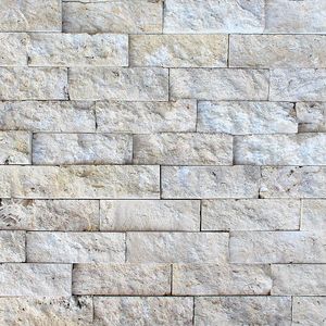 Revestimiento de Pared de Piedra de Coral, Material Popular, Color Blanco Beige Natural con Conchas - Product Image 6