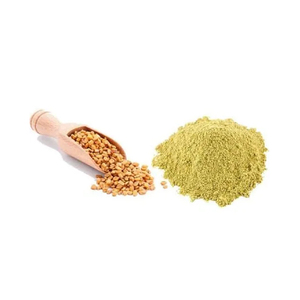 เครื่องเทศและผลิตภัณฑ์สมุนไพร Fenugreek (เมทิ) ผงสมุนไพรสดและแห้ง - Product Image 2