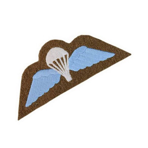 กองทัพทหารอากาศพิธีการที่ 9 กองทัพ DZ แฟลชแพทช์เครื่องราชอิสริยาภรณ์ท้องฟ้าสีฟ้าและสีน้ําเงินเข้มแบบกําหนดเองที่ดีที่สุด - Product Image 2