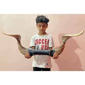 Juego de cuerno de amor de animales hechos a mano ecológicos montados en ariete natural para decoración de pared moderna - Product Image 1