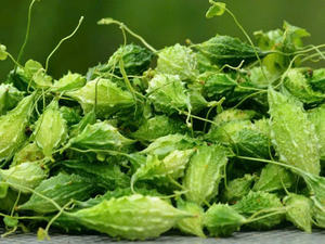 MELON AMER SÉCHÉ QUALITÉ SUPÉRIEURE THÉ NATUREL AUX HERBES TRANCHE EN VRAC PRODUIT D'EXPORTATION EN GROS HOT DEAL TOP VENTES MEILLEURE OFFRE - Product Image 4