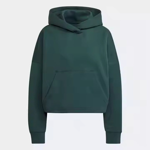 2025 femmes automne tenues à manches longues surdimensionné polaire à capuche pull confortable tenue décontracté pull vêtements d'hiver - Product Image 1