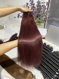 Prix de gros Livraison gratuite Cheveux vierges vietnamiens bruts Deep Wave Noir 1B Rouge Bourgogne 99J Tape Ins Dans l'extension de cheveux humains - Product Image 2