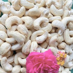 เม็ดมะม่วงหิมพานต์จากเวียดนาม - Product Image 1