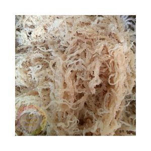 Alga marina de algodón procesada, material vegetal marino natural seco para necesidades de ingredientes alimenticios, procedente de Vietnam - Product Image 4