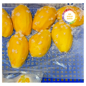 Mango Congelado Premium de Vietnam, Procesado Cuidadosamente en Condiciones Higiénicas para el Mercado de Exportación - Product Image 5
