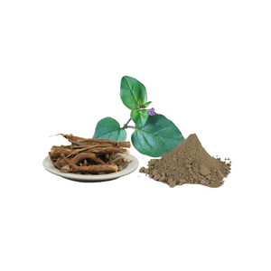Extracto Seco de Punerneva (10:1) Polvo Herbal Estandarizado para Apoyo Natural de la Salud, Refuerzo del Sistema Inmunológico y Bienestar General - Product Image 1