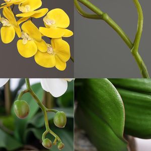 THAOF-069 ครบรอบก้านกล้วยไม้ประดิษฐ์ดอกไม้สัมผัสจริงน้ํายางFaux Phalaenopsisสาขา 9 - Product Image 6