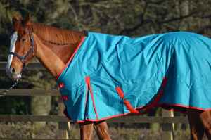 High Quality Lightweight & Breathable Memory Fabric Horse Show Rugs Wholesale Summer and Winter <b>Blankets</b> - Product Image 2