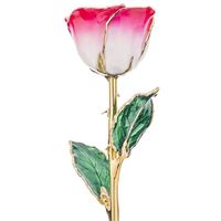 Roses naturelles préservées plaquées or 24 carats, aspect moderne, pour la Saint-Valentin, mariage, décoration intérieure, cadeau, couleur personnalisée