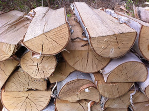 ฟืนไม้เบิร์ชอบแห้ง บรรจุในลังไม้ พร้อมส่ง - Product Image 4