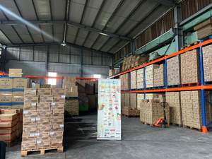 Vente en gros de sachet de poudre d'assaisonnement pour marinade à la viande Cholimex 50g pour la cuisson et les grillades - Product Image 6