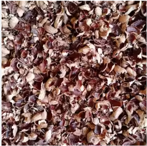 OFERTA CALIENTE 2025 | EXPORTACIÓN DE ALTA CALIDAD CASCO DE ANACARDOS VIETNAMITA PREMIUM BUEN PRECIO - Product Image 3