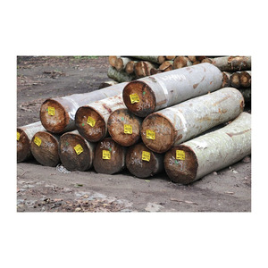 Bûches de palissandre sonokeling abordables prêtes pour l'achat de volume - Product Image 2