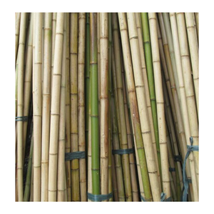 Poteau en bambou-poteaux en bambou naturels du Vietnam pour la construction avec la taille adaptée aux besoins du client - Product Image 4