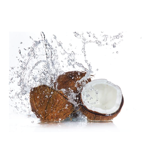 Noix de coco séchée de qualité supérieure: Source Vietnam. Faible quantité minimale de commande. Douceur tropicale. Exportation biologique. - Product Image 4