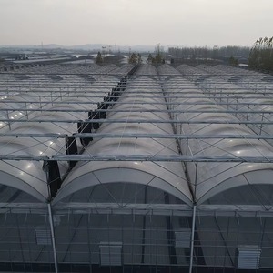 High Grade Poly Greenhouse with Automated Climate Master System for Mushroom Cultivation and Fungi Growing Factory - Product Image 2