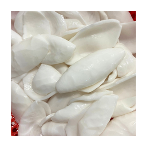 Textura tierna blanca de carne de coco congelada de primera calidad Ideal para batidos de helado y curry y preparación de comidas veganas saludables - Product Image 2