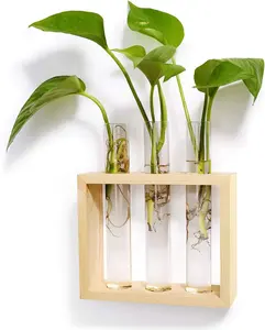 Terrarium de plantes avec support en bois Jardinière en verre suspendue avec tube à essai Vase en verre en bois de qualité supérieure élégant pour une utilisation sur table - Product Image 3