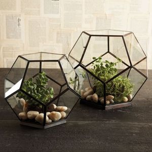 Beautiful handmade metal and <b>glass</b> <b>terrarium</b> for modern home garden tabletop decoration indoor outdoor plant display - Product Image 1