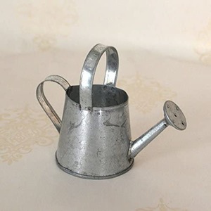 Regadera de metal galvanizada antigua para jardín, organizador de flores, decoración para boda, hogar y jardín - Product Image 6